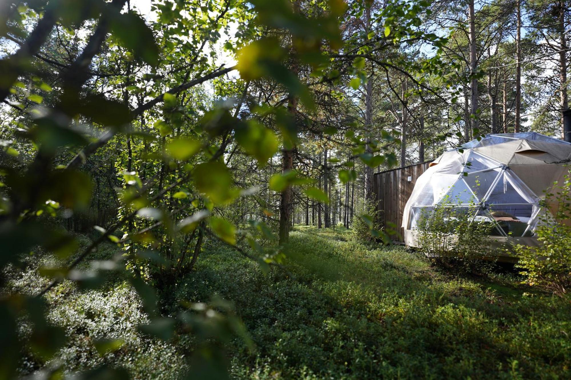 Glod Aurora Canvas Dome アルタ エクステリア 写真