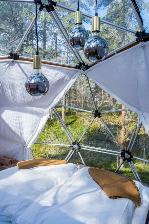Glod Aurora Canvas Dome アルタ エクステリア 写真